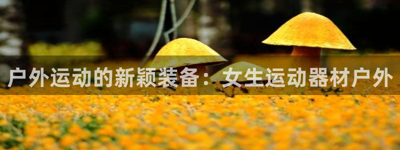 征途国际平台注册要钱吗：户外运动的新颖装备：女生运动器材户外