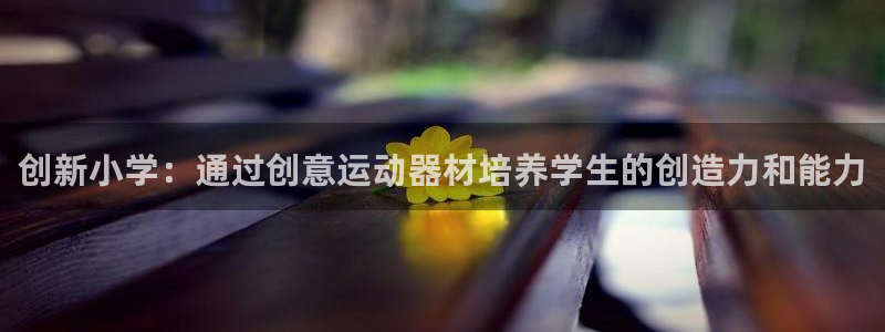 征途国际集团官网首页：创新小学：通过创意运动器材培养学生的创