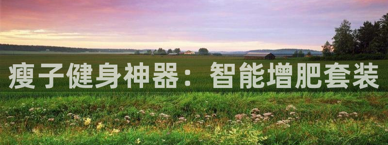 征途国际新能源：瘦子健身神器：智能增肥套装