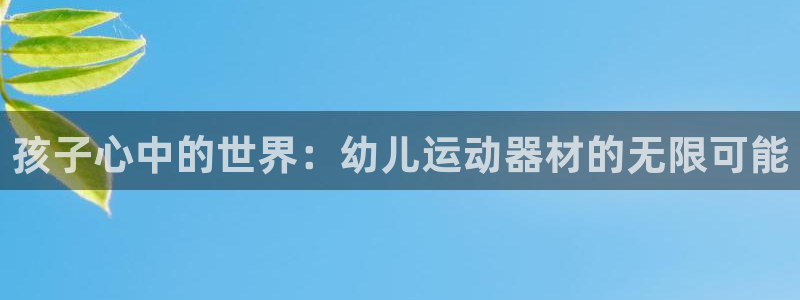 征途国际平台注册流程图：孩子心中的世界：幼儿运动器材