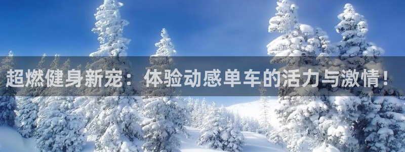 征途国际招商：超燃健身新宠：体验动感单车的活力与激情！
