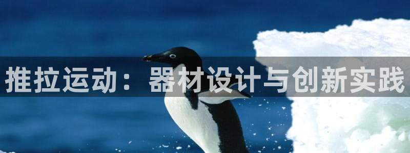 征途国际招商电话号码查询是多少：推拉运动：器材设计与创新实践