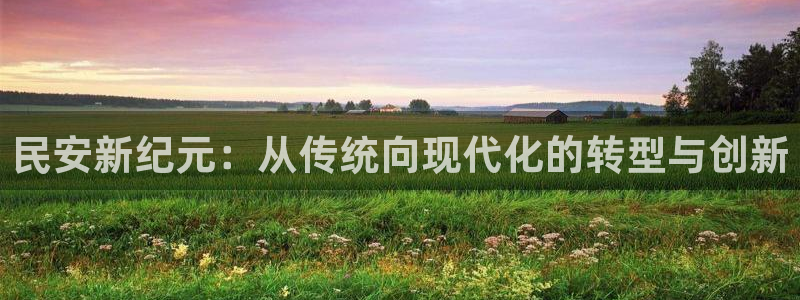 征途国际平台假的吗是真的吗吗：民安新纪元：从传统向现代化的转