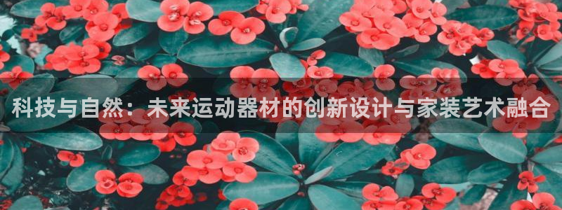 征途国际官方：科技与自然：未来运动器材的创新设计与家
