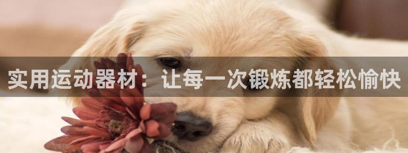 注册征途国际：实用运动器材：让每一次锻炼都轻松愉快