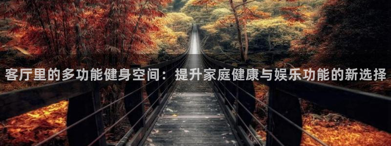 征途国际集团官网网址：客厅里的多功能健身空间：提升家