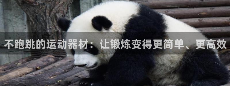 征途国际招商电话是多少：不跑跳的运动器材：让锻炼变得