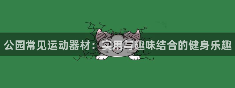 征途国际招商电话地址查询：公园常见运动器材：实用与趣
