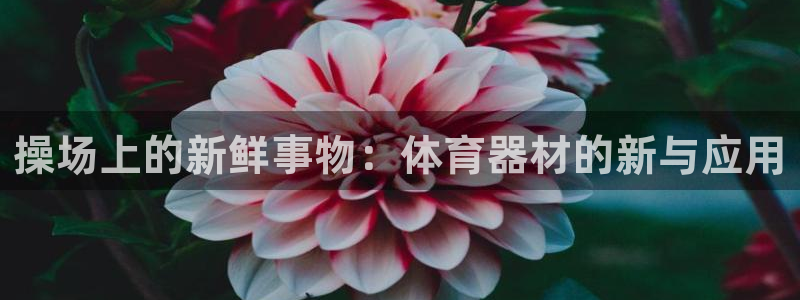 征途国际平台注册：操场上的新鲜事物：体育器材的新与应