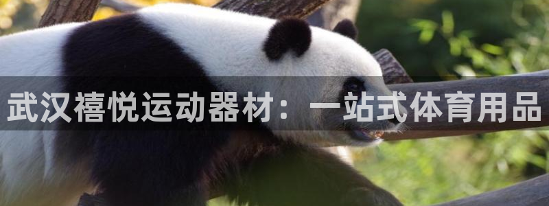 征途国际娱乐平台：武汉禧悦运动器材：一站式体育用品