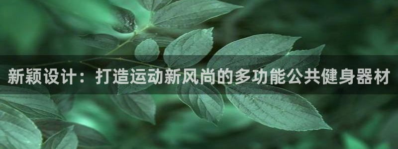 征途国际娱乐代理怎么样：新颖设计：打造运动新风尚的多功能公共