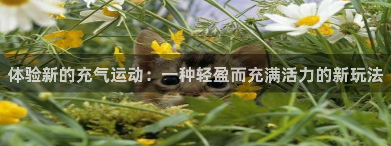征途国际集团E.ON：体验新的充气运动：一种轻盈而充