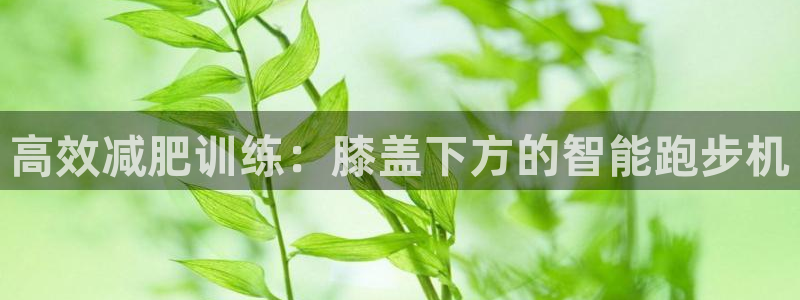 征途国际招商电话是多少啊：高效减肥训练：膝盖下方的智能跑步机