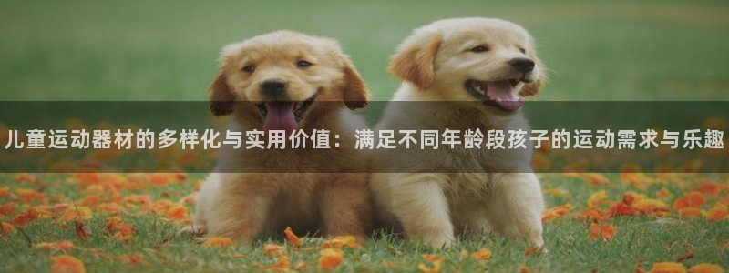 注册征途国际：儿童运动器材的多样化与实用价值：满足不同年龄段