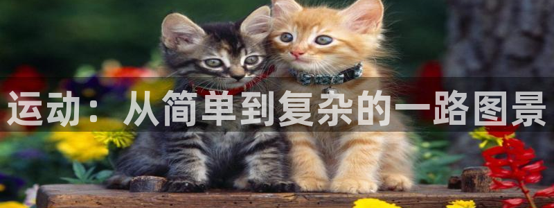 征途国际平台注册流程视频：运动：从简单到复杂的一路图景