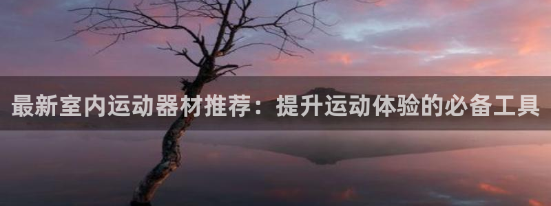 征途国际招商电话地址查询：最新室内运动器材推荐：提升