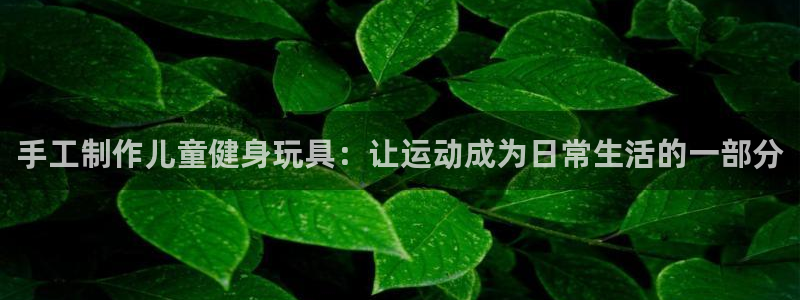 征途国际平台注册要钱吗安全吗：手工制作儿童健身玩具：让运动成