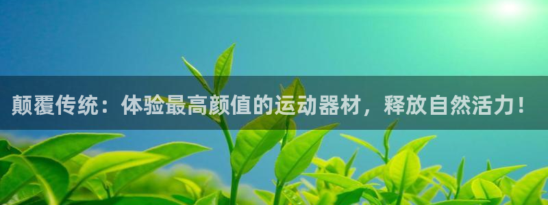 征途国际招商电话号码查询是多少：颠覆传统：体验最高颜值的运动