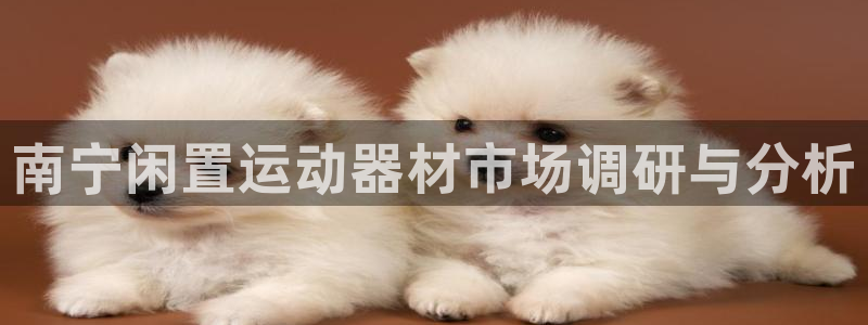 征途国际集团官网首页