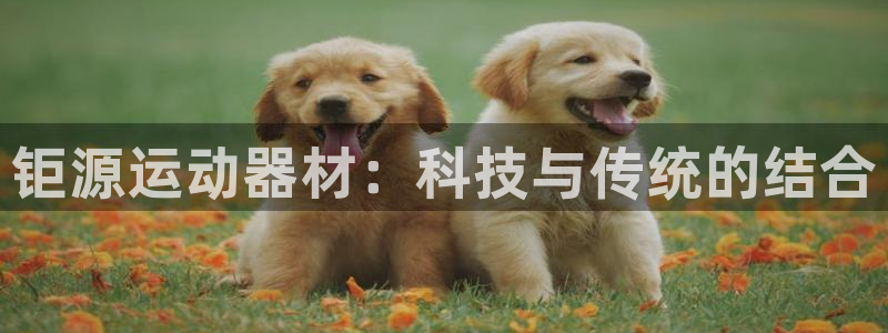 征途国际新能源：钜源运动器材：科技与传统的结合