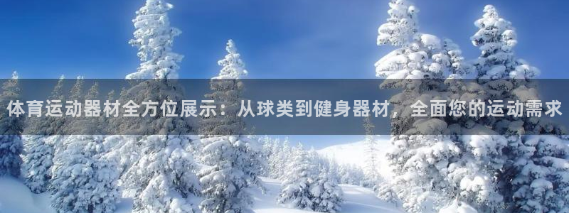 征途国际注册：体育运动器材全方位展示：从球类到健身器材，全面
