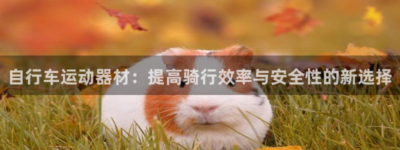 征途国际平台是正规平台吗安全吗：自行车运动器材：提高